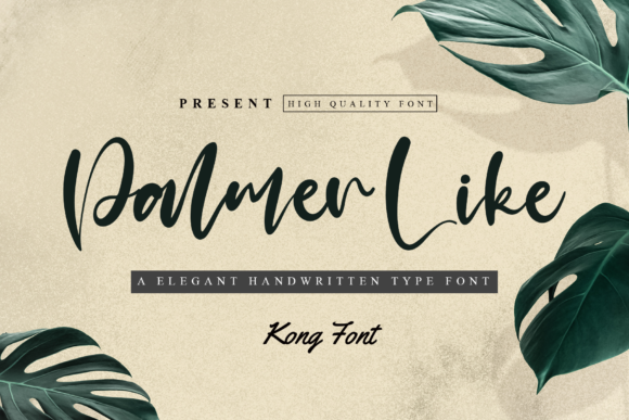 Palmer Like: A Modern Script for Creative Branding